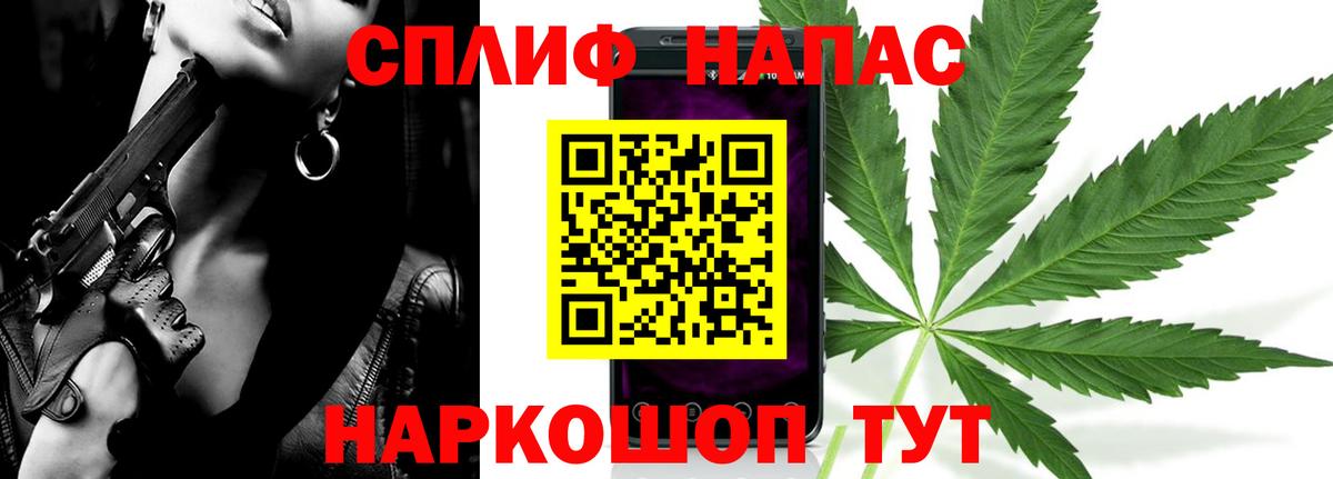 Конопля план Гай